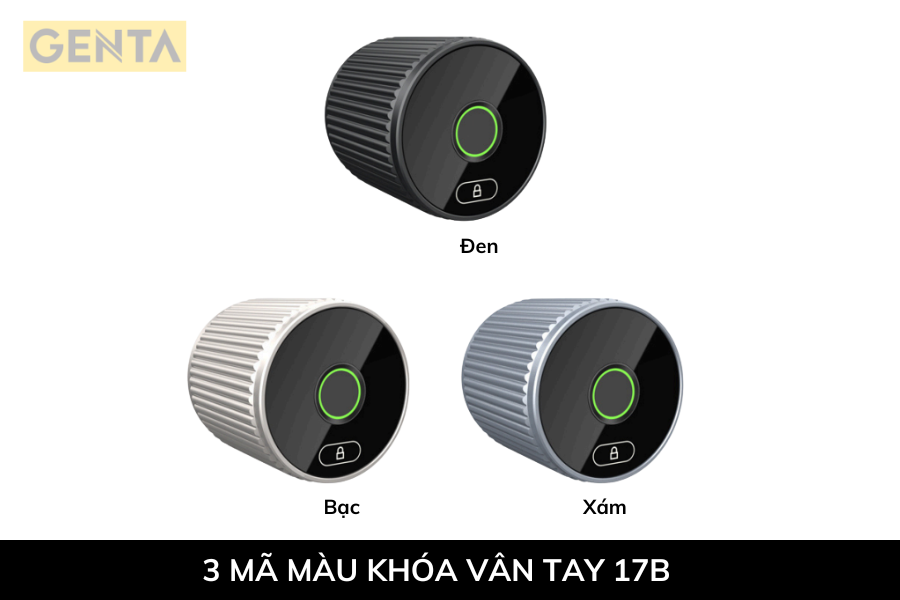 Mã màu sản phẩm tay nắm vân tay 17B